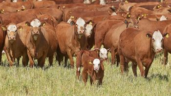 El gobierno se comprometió a reducir las emisiones de metano en los próximos años. El gobierno se comprometió a reducir las emisiones de metano en los próximos años.