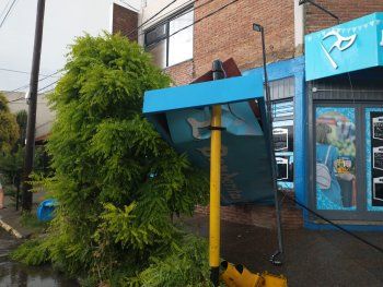 Temporal en Bahía Blanca: cayeron árboles y se voló un techo