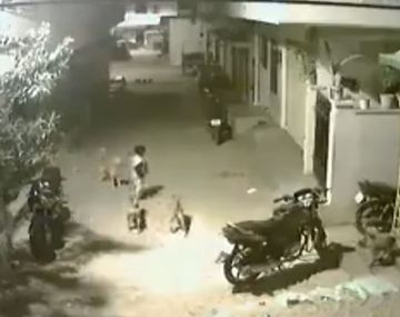 Un nene le hizo frente a una jauría para defender a su amiga