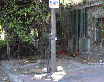 A los tiros y en ataque de ira