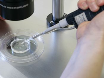 El acceso a la ley de fertilización asistida no tendrá límites de edad