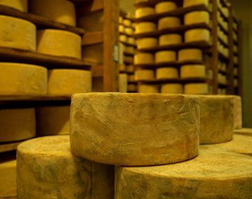 ANMAT prohibió un queso sardo: qué marca no hay que comprar