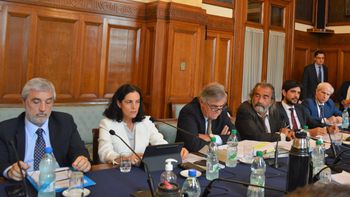 La ministra Arbeleche expuso frente a la Comisión de Hacienda en el Parlamento los motivos del avance en la compra de escáneres para fortalecer las fronteras uruguayas. La ministra Arbeleche expuso frente a la Comisión de Hacienda en el Parlamento los motivos del avance en la compra de escáneres para fortalecer las fronteras uruguayas.