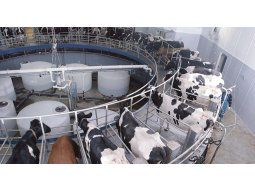 El mercado aguarda un mejor 2024 para la industria láctea. El mercado aguarda un mejor 2024 para la industria láctea.