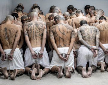 Experto criticó el aumento de penas previsto en la reforma del Código Penal: Salvajismo