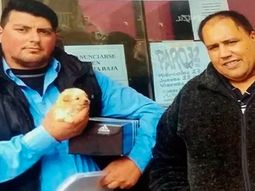 Gentileza:0223 Gentileza:0223