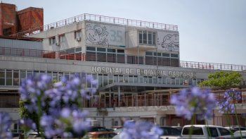 por primera vez realizaron una transfusion intrauterina en el hospital garrahan por primera vez realizaron una transfusion intrauterina en el hospital garrahan