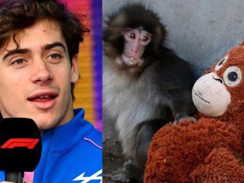 La inesperada confesión de Colapinto sobre el monito viral Punch que sorprendió a sus fans