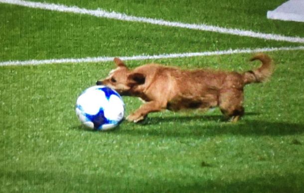 Crédito:&nbsp;@vermudeportivo