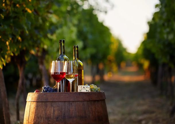 Uruguay promete posicionarse en el mercado mundial de vinos con procesos productivos transparentes.