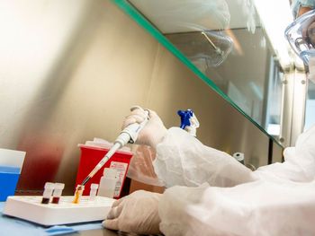 Apuesta por la ciencia: El Conicet otorgó este año un récord de becas postdoctorales