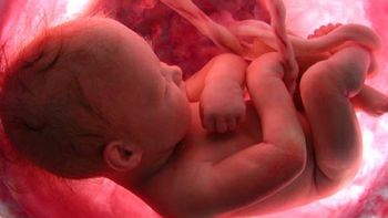 america latina, la region con la mayor tasa de abortos america latina, la region con la mayor tasa de abortos