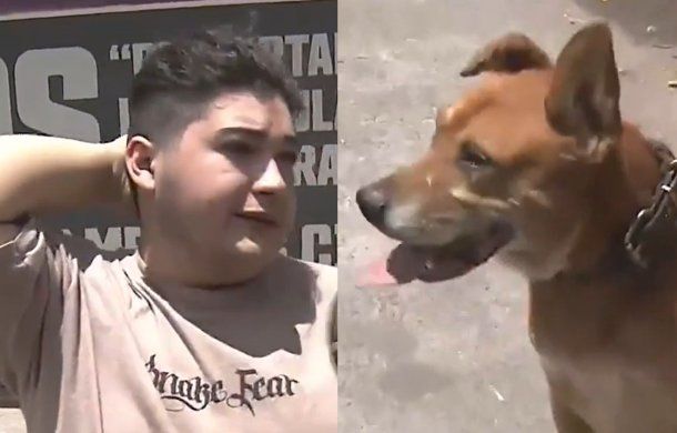 Belgrano: el desesperado pedido de un joven para que adopten a su perro tras un desalojo