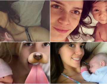 Paula, Zaira, Wanda y Floppy con sus bebés