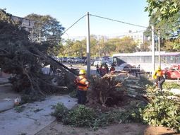 Tres muertos en Jujuy por un temporal