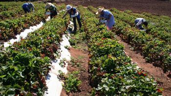 La sección Industria Manufacturera fue la de mayor incidencia en la variación de octubre. La sección Industria Manufacturera fue la de mayor incidencia en la variación de octubre.