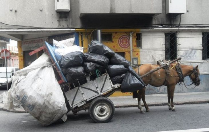 Denuncian que reparten paco en carros tirados por caballos en Quilmes