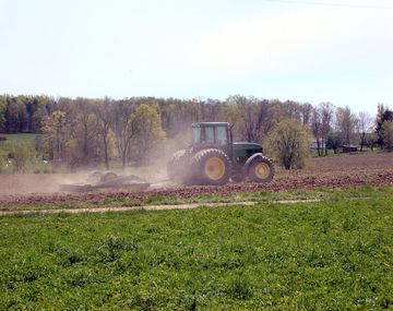 ¿Cómo y cuándo ingresan los dólares del campo?