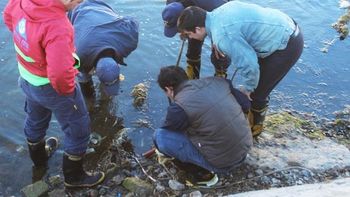 El lugar donde hallaron el arma. Gentileza: agencia Allen El lugar donde hallaron el arma. Gentileza: agencia Allen