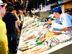 semana santa: efecto papa en las pescaderias semana santa: efecto papa en las pescaderias