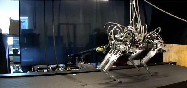 Alta velocidad: un robot  corre más rápido que Usain Bolt