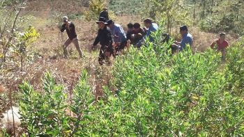 encuentran a un nene perdido hace dos dias aferrado a un juguete encuentran a un nene perdido hace dos dias aferrado a un juguete