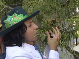 lo hizo por una buena causa: un peruano se caso con un arbol en mexico lo hizo por una buena causa: un peruano se caso con un arbol en mexico