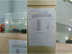 Pesesín, el viral del día Pesesín, el viral del día