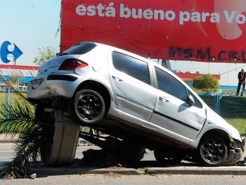 Un auto quedó colgado de una palmera en Puente Pueyrredón