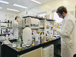 Investigadores del Conicet