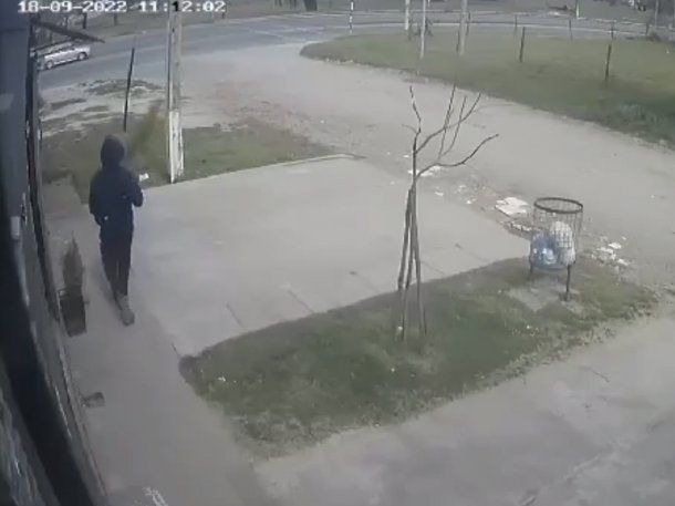 Video: quisieron robar cables, no pudieron y se llevaron un pino