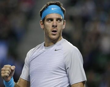 Del Potro eliminó a Almagro y jugará la final en Tokio