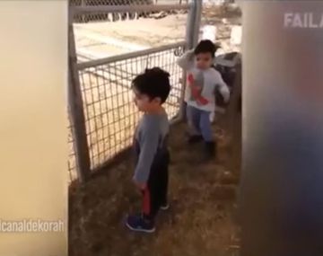 El papá le preguntó qué ruido hacía la cabra y él no entendió