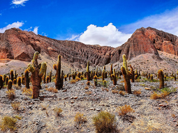 El destino turístico internacional con montañas de múltiples colores