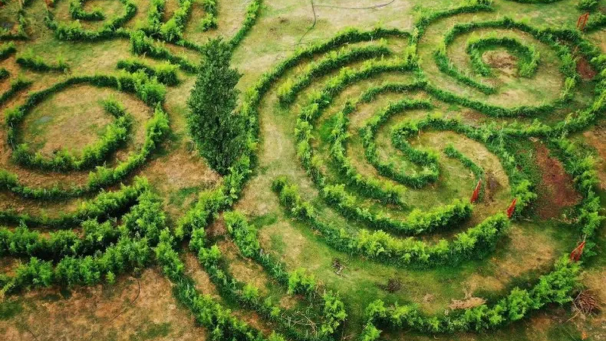 Escapadas en Buenos Aires: el destino con un laberinto natural ...