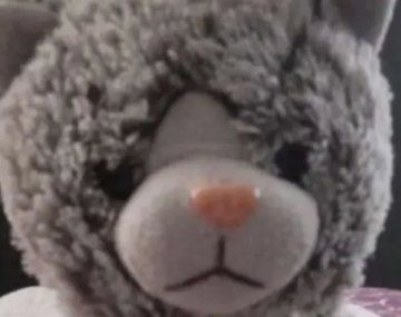 Una familia pagó $200 mil tras ser extorsionada para recuperar el peluche de su hijo con autismo