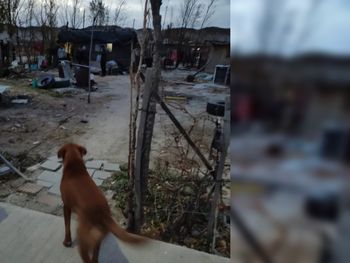 Chubut: un hombre atacó a la Policía con un hacha cuando quisieron rescatar a su novia