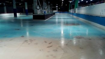 Las personas se quejaron por la decoración Las personas se quejaron por la decoración