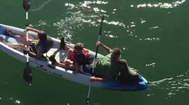 VIDEO: mirá cómo un lobo marino bebé se sumó a un paseo familiar