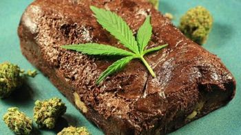 seis personas tuvieron que ser internadas tras comer una torta con marihuana seis personas tuvieron que ser internadas tras comer una torta con marihuana