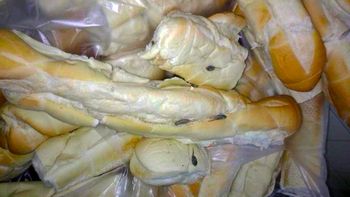 una escuela municipal recibio pan con gusanos una escuela municipal recibio pan con gusanos