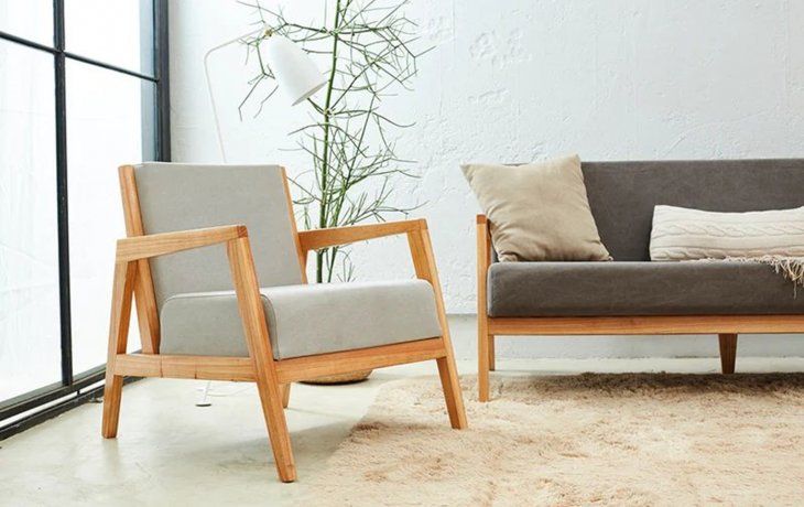 Por qué hay que rociar con vinagre los sillones si tenés perro