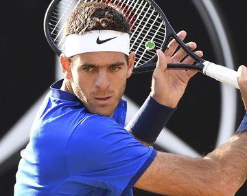 Vuelve Juan Martín Del Potro al equipo Davis: jugará ante Italia