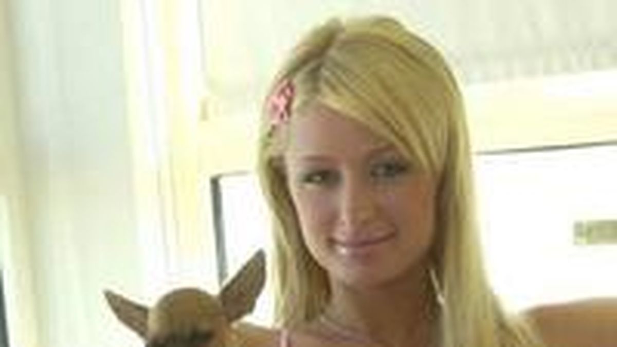 www.minutouno.comsitemapimages-fullsitemap-200904.xml.gz