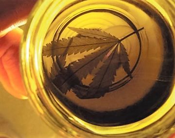 El Senado podría convertir en ley el uso medicinal de la marihuana