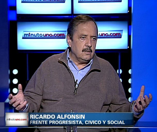 Alfonsín y las protestas: No se puede apelar a una huelga salvaje