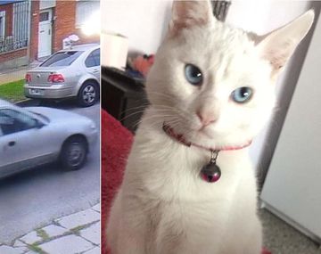 A plena luz del día