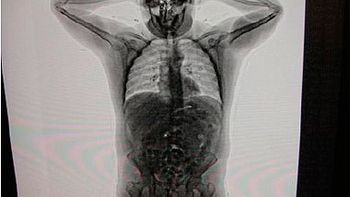 cae banda narco que reclutaba mulas y traficaba a europa cae banda narco que reclutaba mulas y traficaba a europa