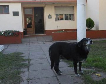 Gentileza diario El Día.