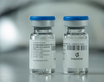 Comienza la distribución del suero equino hiperinmune desarrollado en Argentina